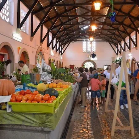 Casa Pelourinho بيت للعطل